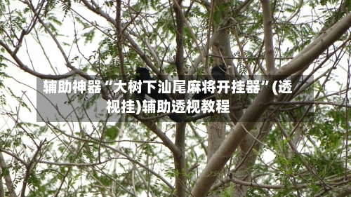 辅助神器“大树下汕尾麻将开挂器”(透视挂)辅助透视教程-第2张图片