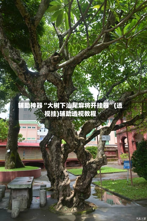 辅助神器“大树下汕尾麻将开挂器”(透视挂)辅助透视教程