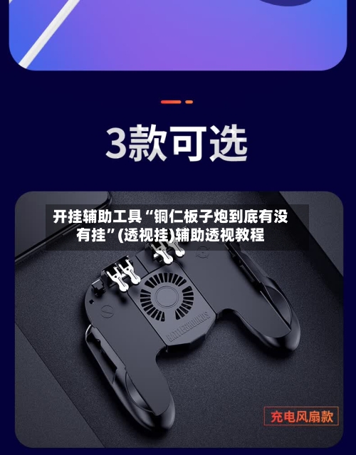开挂辅助工具“铜仁板子炮到底有没有挂”(透视挂)辅助透视教程-第2张图片