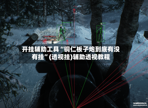开挂辅助工具“铜仁板子炮到底有没有挂”(透视挂)辅助透视教程-第3张图片