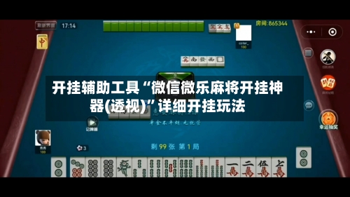 开挂辅助工具“微信微乐麻将开挂神器(透视)”详细开挂玩法