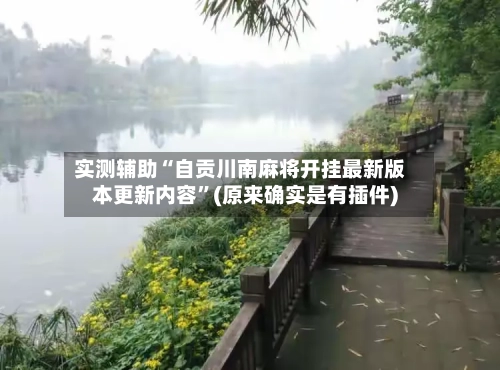 实测辅助“自贡川南麻将开挂最新版本更新内容	”(原来确实是有插件)-第2张图片