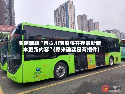 实测辅助“自贡川南麻将开挂最新版本更新内容”(原来确实是有插件)-第3张图片