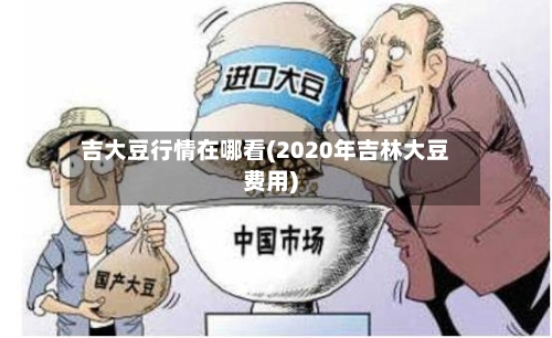 吉大豆行情在哪看(2020年吉林大豆费用)