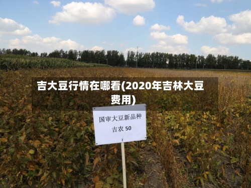 吉大豆行情在哪看(2020年吉林大豆费用)-第2张图片