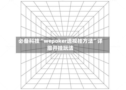 必备科技“wepoker透视挂方法”详细开挂玩法-第2张图片