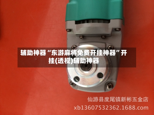 辅助神器“东游麻将免费开挂神器”开挂(透视)辅助神器-第2张图片