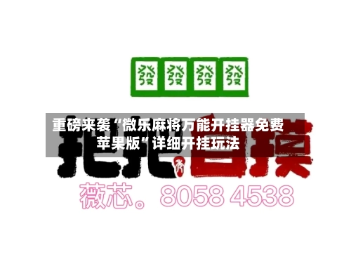 重磅来袭“微乐麻将万能开挂器免费苹果版”详细开挂玩法-第3张图片