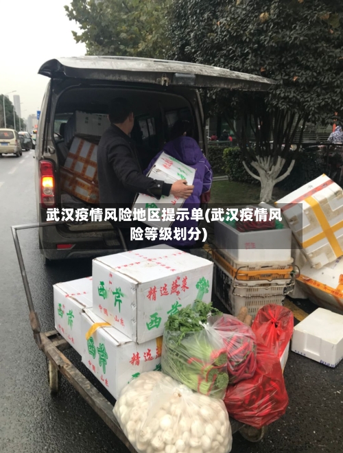武汉疫情风险地区提示单(武汉疫情风险等级划分)-第3张图片