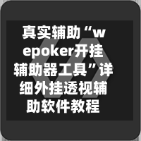 真实辅助“wepoker开挂辅助器工具	”详细外挂透视辅助软件教程-第3张图片