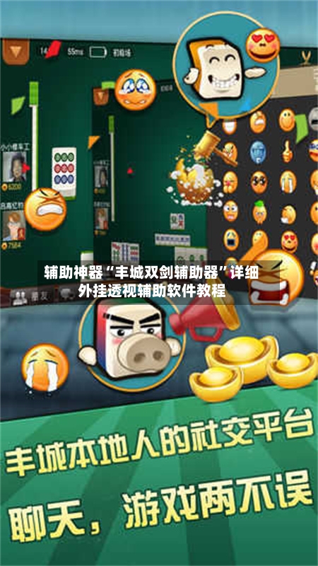 辅助神器“丰城双剑辅助器	”详细外挂透视辅助软件教程-第2张图片