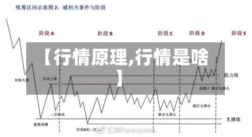 【行情原理,行情是啥】