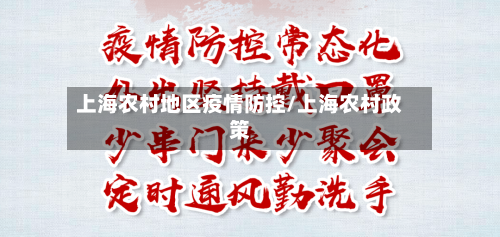 上海农村地区疫情防控/上海农村政策