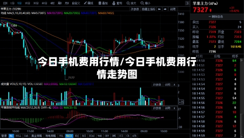 今日手机费用行情/今日手机费用行情走势图