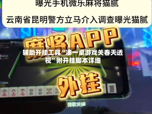 辅助开挂工具“凑一桌游戏关春天透视”附开挂脚本详细-第2张图片