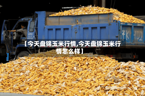 【今天盘锦玉米行情,今天盘锦玉米行情怎么样】