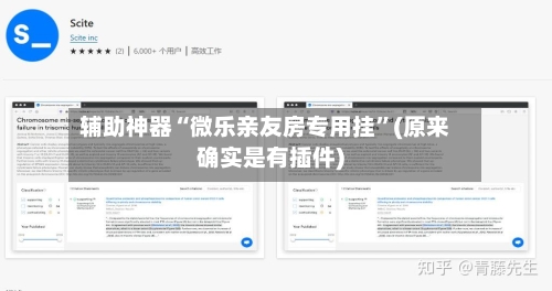 辅助神器“微乐亲友房专用挂”(原来确实是有插件)-第2张图片