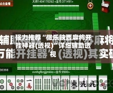 强力推荐“微乐陕西麻将开挂神器(透视)”详细辅助透视-第3张图片