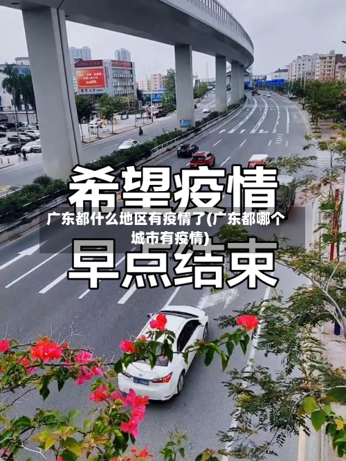 广东都什么地区有疫情了(广东都哪个城市有疫情)-第2张图片