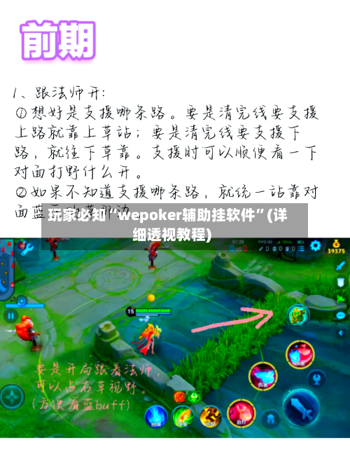 玩家必知“wepoker辅助挂软件	”(详细透视教程)-第2张图片