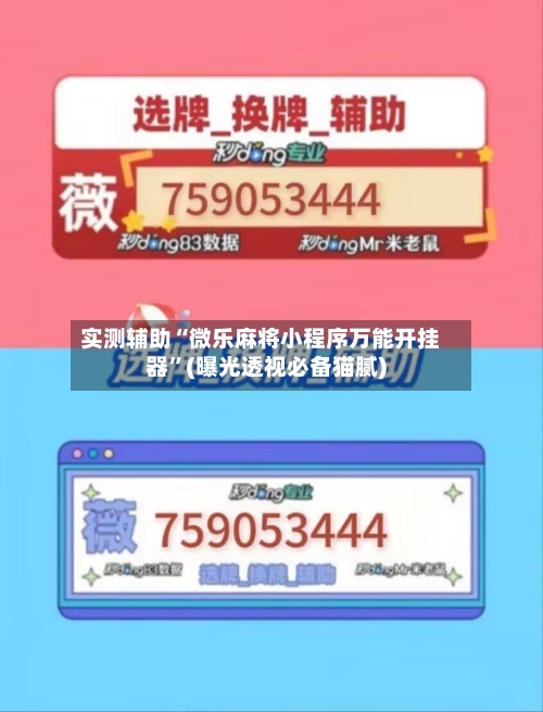 实测辅助“微乐麻将小程序万能开挂器	”(曝光透视必备猫腻)-第2张图片