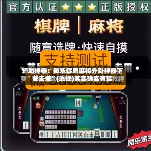 辅助神器：微乐捉鸡麻将外卦神器下载安装”(透视)其实确实有挂-第3张图片