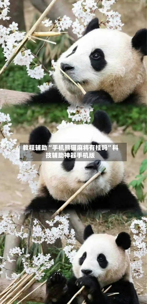 教程辅助“手机熊猫麻将有挂吗”科技辅助神器手机版