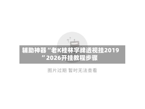 辅助神器“老K桂林字牌透视挂2019”2026开挂教程步骤-第3张图片