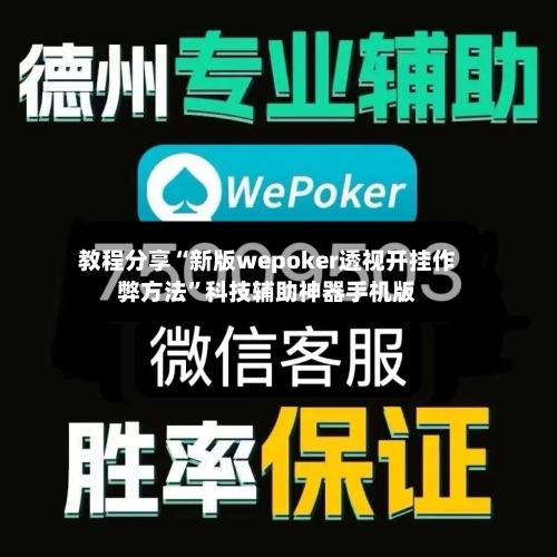 教程分享“新版wepoker透视开挂作弊方法”科技辅助神器手机版-第2张图片