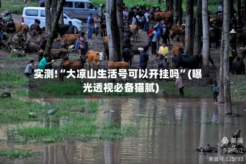 实测!“大凉山生活号可以开挂吗”(曝光透视必备猫腻)-第2张图片