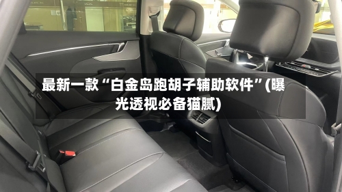 最新一款“白金岛跑胡子辅助软件”(曝光透视必备猫腻)-第2张图片