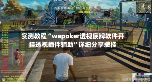 实测教程“wepoker透视底牌软件开挂透视插件辅助”详细分享装挂-第2张图片