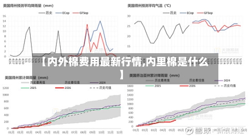 【内外棉费用最新行情,内里棉是什么】-第2张图片
