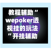 教程辅助“wepoker透视挂的玩法”开挂辅助脚本+详细开挂安装教程-第2张图片