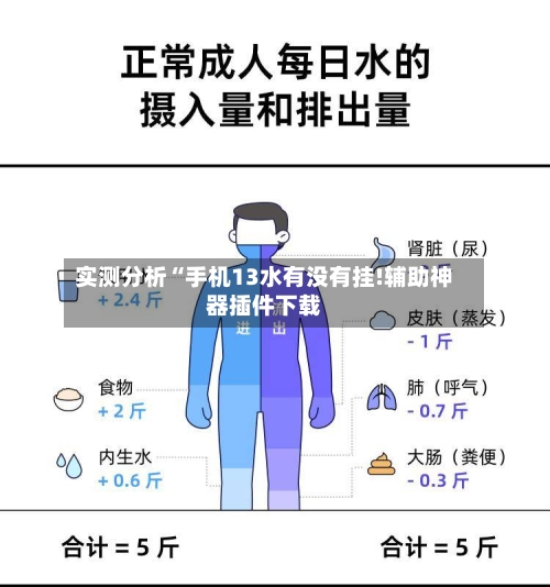 实测分析“手机13水有没有挂!辅助神器插件下载-第2张图片