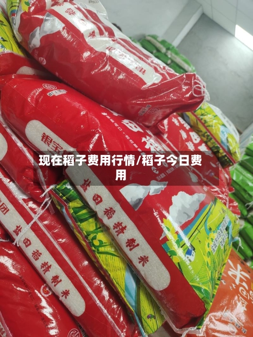 现在稻子费用行情/稻子今日费用-第3张图片
