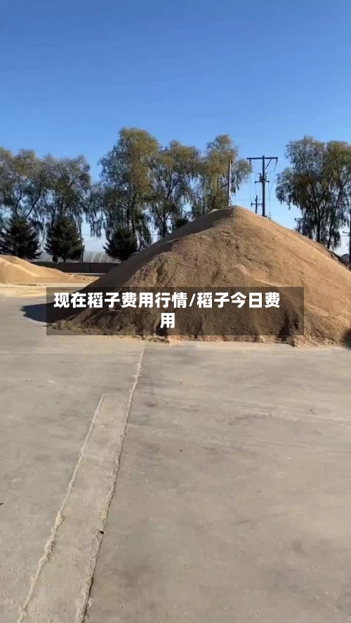 现在稻子费用行情/稻子今日费用-第2张图片