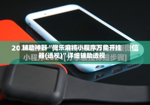 辅助神器“微乐麻将小程序万能开挂器(透视)”详细辅助透视-第3张图片