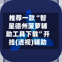 推荐一款“智星德州菠萝辅助工具下载”开挂(透视)辅助-第2张图片
