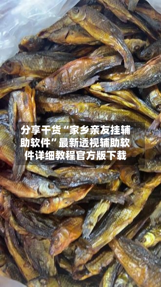 分享干货“家乡亲友挂辅助软件”最新透视辅助软件详细教程官方版下载-第2张图片