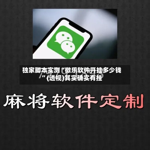 独家脚本实测“微乐软件开挂多少钱”(透视)其实确实有挂-第3张图片
