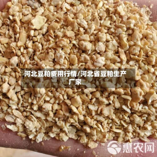 河北豆粕费用行情/河北省豆粕生产厂家