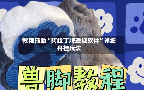 教程辅助“阿拉丁牌透视软件”详细开挂玩法