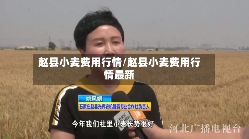 赵县小麦费用行情/赵县小麦费用行情最新-第3张图片