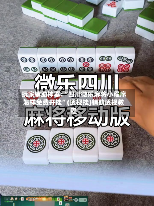 玩家辅助神器:“四川微乐麻将小程序怎样免费开挂”(透视挂)辅助透视教程-第2张图片
