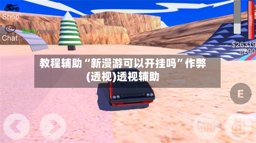 教程辅助“新漫游可以开挂吗”作弊(透视)透视辅助