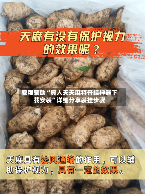 教程辅助“真人天天麻将开挂神器下载安装”详细分享装挂步骤-第2张图片