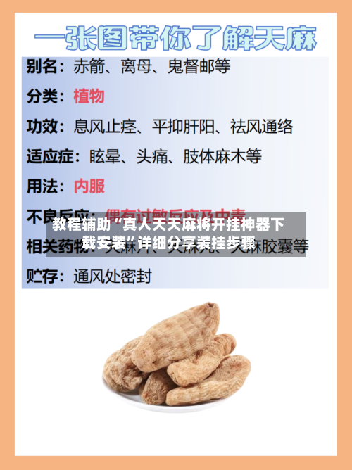 教程辅助“真人天天麻将开挂神器下载安装”详细分享装挂步骤