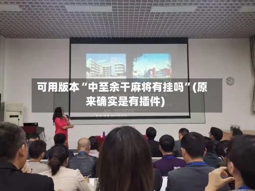 可用版本“中至余干麻将有挂吗”(原来确实是有插件)-第2张图片