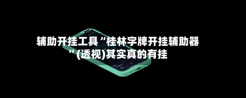 辅助开挂工具“桂林字牌开挂辅助器	”(透视)其实真的有挂-第3张图片